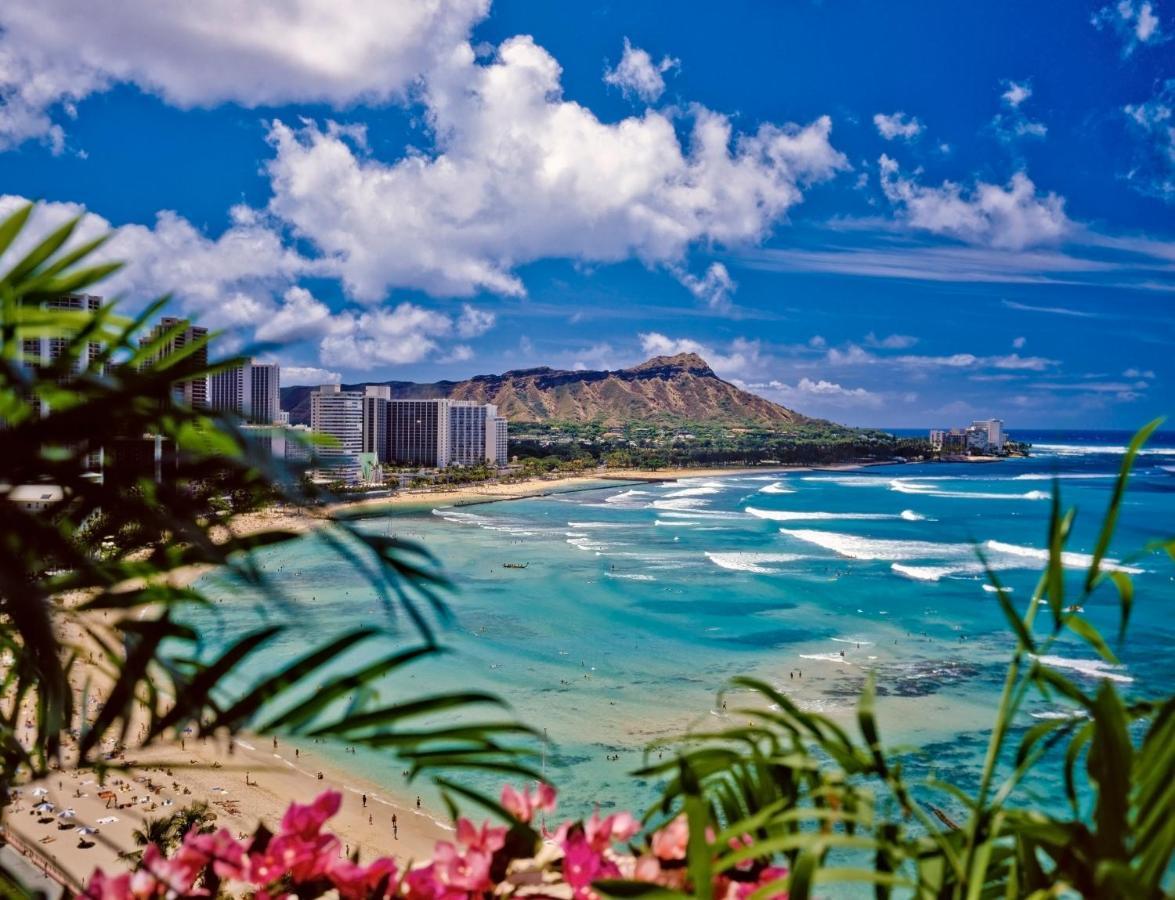 Waikiki Sunset City & Mountain View With Parking Honolulu Exteriör bild